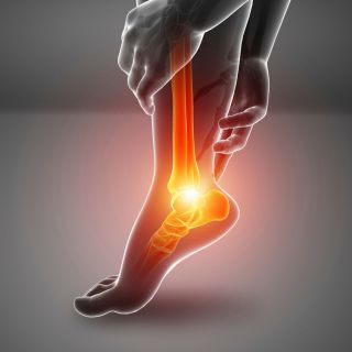 Reconstrói o tecido cartilaginoso